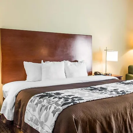 Sleep Inn & Suites Pooler - Savannah Area-2