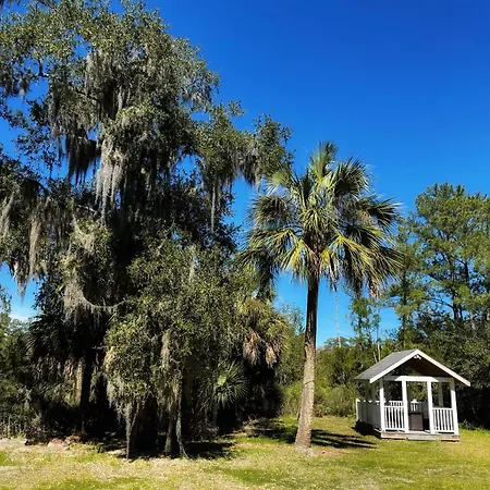 Large Home W Spa Midway To Savannah & Tybee Island! Dog Friendly Venue-3