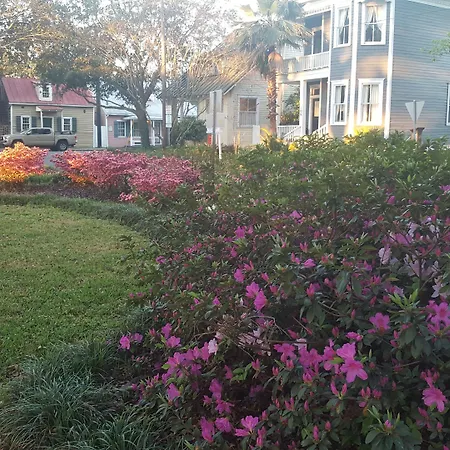 Green Palm Inn-2